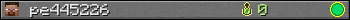 pe445226 userbar 350x20