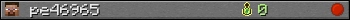 pe46965 userbar 350x20