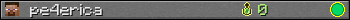 pe4erica userbar 350x20