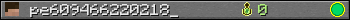 pe609466220218_ userbar 350x20