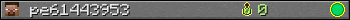 pe61443953 userbar 350x20