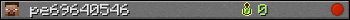 pe69640546 userbar 350x20