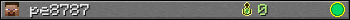 pe8787 userbar 350x20