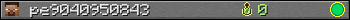 pe9040950843 userbar 350x20