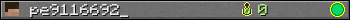 pe9116692_ userbar 350x20
