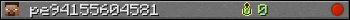 pe94155604581 userbar 350x20