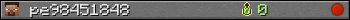 pe98451848 userbar 350x20