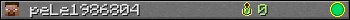 peLe1986804 userbar 350x20