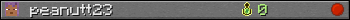 peanutt23 userbar 350x20