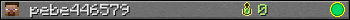 pebe446579 userbar 350x20