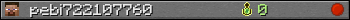 pebi722107760 userbar 350x20