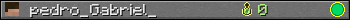 pedro_Gabriel_ userbar 350x20