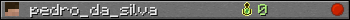 pedro_da_silva userbar 350x20