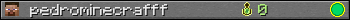 pedrominecrafff userbar 350x20