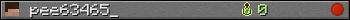 pee63465_ userbar 350x20