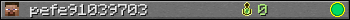pefe91039703 userbar 350x20