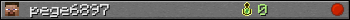 pege6897 userbar 350x20