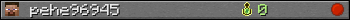 pehe96945 userbar 350x20