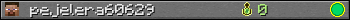 pejelera60629 userbar 350x20