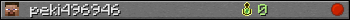 peki496946 userbar 350x20