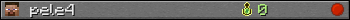 pele4 userbar 350x20