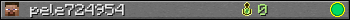 pele724954 userbar 350x20