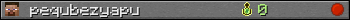 pequbezyapu userbar 350x20