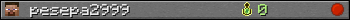 pesepa2999 userbar 350x20