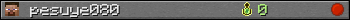 pesuye080 userbar 350x20