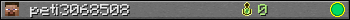 peti3068508 userbar 350x20