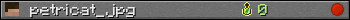 petricat_jpg userbar 350x20