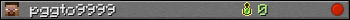 pggto9999 userbar 350x20