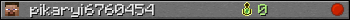 pikaryi6760454 userbar 350x20