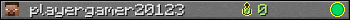 playergamer20123 userbar 350x20