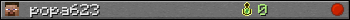 popa623 userbar 350x20
