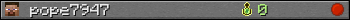 pope7947 userbar 350x20