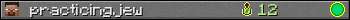 practicingjew userbar 350x20