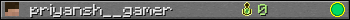 priyansh__gamer userbar 350x20