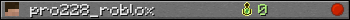 pro228_roblox userbar 350x20