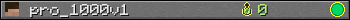 pro_1000v1 userbar 350x20