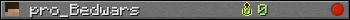 Benutzerleisten 350x20 für pro_Bedwars