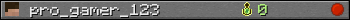 pro_gamer_123 userbar 350x20
