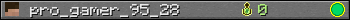 pro_gamer_95_28 userbar 350x20