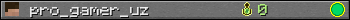 pro_gamer_uz userbar 350x20