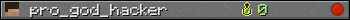 pro_god_hacker userbar 350x20