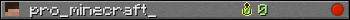 pro_minecraft_ userbar 350x20