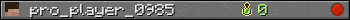 pro_player_0985 userbar 350x20