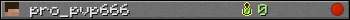 pro_pvp666 userbar 350x20