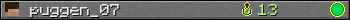 puggen_07 userbar 350x20