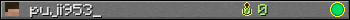 puji953_ userbar 350x20